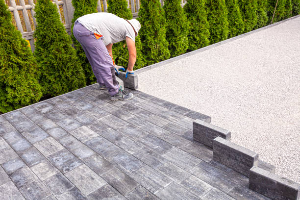 Best Professional Driveway Pavers  in Luck, WI